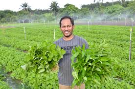 Kami mengumpulkan soal dan jawaban dari tts (teka teki silang) populer yang biasa muncul di koran kompas, jawa pos, koran tempo, dll. Daripada Wartawan Sukan Kepada Petani Muda Berjaya Buletin Mutiara