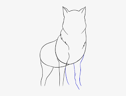 Just like in felines, front paws have a dew claw (thumb, a), and a pisiform pad (a. How To Draw Wolf Drawing Transparent Png 678x600 Free Download On Nicepng