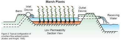 Septic Tank Alternatives Lagoons And Constructed Wetlands The Wmega Man Journal