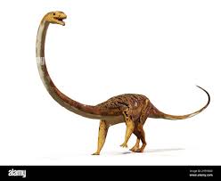 Image result for Tanystropheus