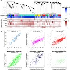 I don't think it matters much for the organisations section, but the paragraph on developmental problems in children with cancer should either be. Depicting The Genetic Architecture Of Pediatric Cancers Through An Integrative Gene Network Approach Scientific Reports