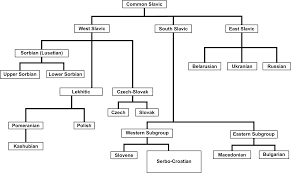 Slavic Language Diagram Vector Clipart Image Free Stock