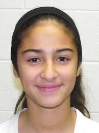 Catch 22 Fennville: Vote for the top athlete from 2001-22