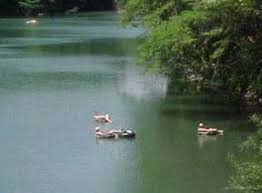 This list will help you pick the right pro garbage service in canyon lake, tx. Canyon Lake Visitors Guide