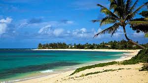 Sunset beach, hawaii, sunset beach, hi, us. Sunset Beach Sunset Beach Is Located On Kamehameha Highway In Paumalu Due To Limited Parking You Often Have To Park On The Road Above Sunset Beach And Then Walk Down To The