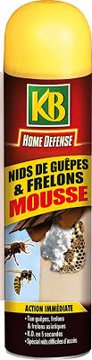 Vous pouvez alors acheter un aérosol insecticide pour nid de guêpes dans le commerce. Kb Mousse Nid De Guepes Et Frelons 500ml Amazon Fr Jardin