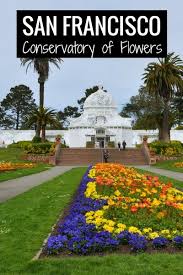 Of course, many factors go into the cost of floral arrangements, and there are several ways to reduce the costs of wedding flowers with a little careful planning. San Francisco Conservatory Of Flowers Tips To Visit Pics