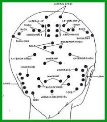 Head Reflexology Reflexology Massage Massage Therapy