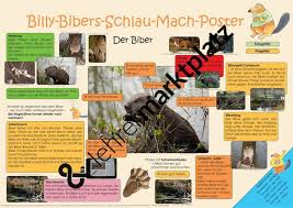 Der Biber Unterrichtsmaterial Im Fach Sachunterricht Biber Sachen Naturphanomene