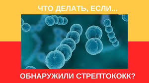 Centr Sokolinskogo Recepty Zdorovya Obnaruzhili Streptokokk Facebook