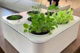 primeira horta inteligente do brasil resiste aos piores pais de planta horta hortas plantas
