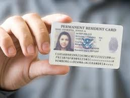 Check spelling or type a new query. Green Card Coyote Legal