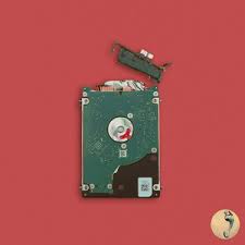 Colin mochrie, heidi von palleske, … Neiked Husky Lifestyle Lyrics Meaning Lyreka