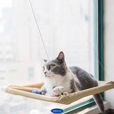 kedinizi guvende hissettirecek en iyi kedi yatagi modelleri
