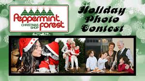 For the last 41 years, peppermint forest christmas shop of charlotte, nc has been your retail source for all things christmas! Peppermint Forest Holiday Photo Contest Wccb Charlotte S Cw