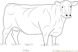 Click on the image you want to color, this will open page displaying large picture you selected. Angus Cow Coloring Page For Kids Free Cow Printable Coloring Pages Online For Kids Coloringpages101 Com Coloring Pages For Kids