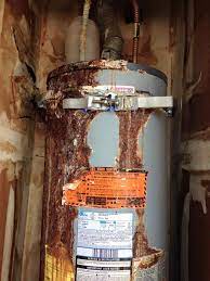 Pin On Crazy Things We See Ksp