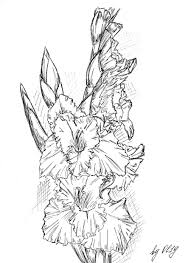 17 Gladiolus Tattoos Designs How to draw a gladiolus step by step. 17 gladiolus tattoos designs