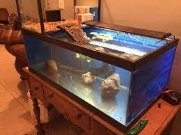 Here's the basking platform with the nice flat basking stone in the middle and uvb light (right side) and basking 50 watt floodlight (left) mounted. Turtle Topper Above Tank Basking Platform Dock Spiffy Pet Products Turtle Aquarium Turtle Tank Turtle Dock