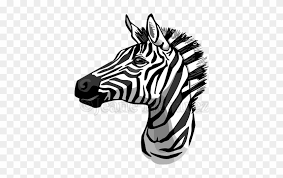 Given below is a collection of some of the best zebra coloring pages for you. Zebra Face Clip Art Drawing Of A Zebra Head Free Transparent Png Clipart Images Download