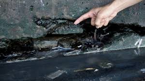 Ang istoryang ito ay tungkol sa. Jakarta The Fastest Sinking City In The World Bbc News