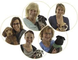 The whole pet vet awards & accolades. Whole Pet Clinic Madison Wi Home
