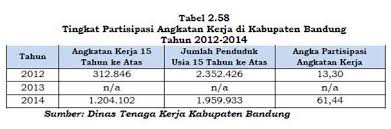 Tpak mengindikasikan besarnya penduduk usia kerja yang aktif secara ekonomi di suatu negara atau wilayah pada periode waktu tertentu. Tingkat Partisipasi Angkatan Kerja Menurut Jurnal Adalah Perbandingan Diantara Angkatan Kerja Dengan Penduduk Usia Beberapa Indikator Yang Dapat Mengambarkan Partisipasi Angkatan Dewi Ilmu