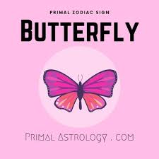 The dragon is a powerful mystical animal that usually succeeds whatever the odds. Primal Astrology Spirit Of The Butterfly
