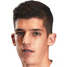 Edin Selimovic FM 2020 Profile, Reviews