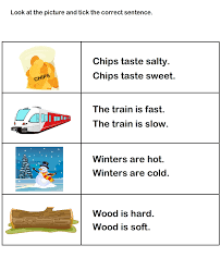 Describing Words Worksheet17 Describing Words 1st Grade Worksheets Learn English Words