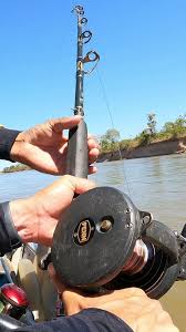 Fritada de Carretilha da Piraíba: Delícias da Pesca