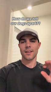 Alyssa's Petsitting Services