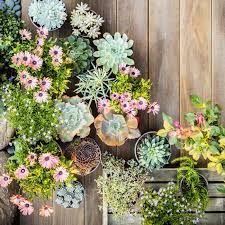 1001 Idees Fantastiques De Decor Avec Plantes Grasses D Exterieur Jardin De Plantes Grasses Plantes Grasses Pot Jardin