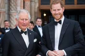 Harry and Charles haven't spoken since their 'cordial but slightly awkward'  meeting last Thursday