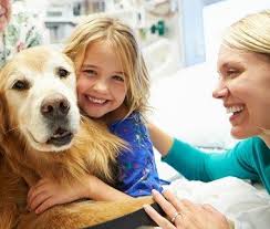 Depending on the airline in question, you an emotional support dog is a valuable asset that cannot be compared to any other. Us Service Animals Emotional Support Service Animal Registration
