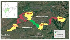 Wildlife corridors allow animals to move from place to place without interference from humans. Sustainability Free Full Text Land Use Change And Wildlife Conservation Case Analysis Of Lulc Change Of Pench Satpuda Wildlife Corridor In Madhya Pradesh India Html