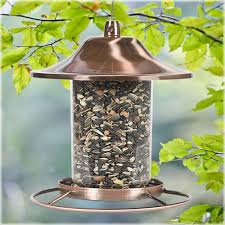 Like gutters, these offer a nice place to prevent squirrels from accessing the attic via the gable vents, you will need to use hardware cloth to. Seed Feeders Bird Feeder Perky Pet Copper Panorama Vintage Squirrel Proof Hanging Seed Food Home Garden
