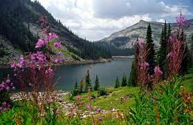 Check spelling or type a new query. Spring Summer Nature Photography By Helene Bazin Lee