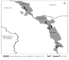 Image result for Pavetta pierlotii