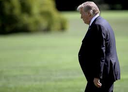 All the Trump officials who want you to know they definitely did not write  the NYT op-ed — and a few who aren't saying