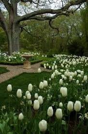 White Tulips Farmhouse Kitchen New York By Mj Mccabe Garden Design White Tulips Garden Design Kitchen New York