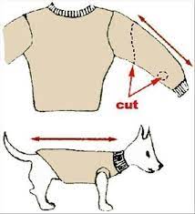 How To Turn Old Sweaters And Sweatpants Into No Sew Dog Sweaters In 5 Minutes The Thrifty Couple