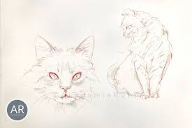 Wie malt man einen hasen (kaninchen). Tierportraits Zeichnen Lernen Akademie Ruhr