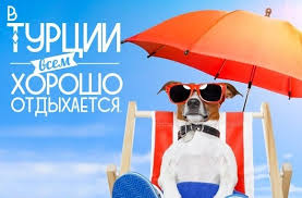Выгодные горящие туры в Турцию из Москвы – все включено! Невероятные цены и незабываемый отдых только с нами!