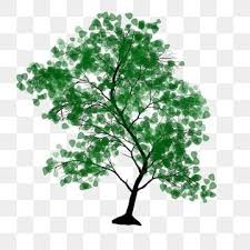 樹 小樹 大樹 手繪大樹 大樹圖案 樹 小樹素材 psd格式圖案和png圖片免費下載 in 2021 green trees tree patterns spring green