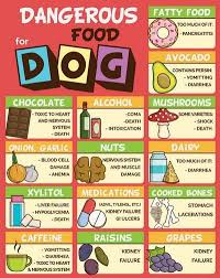 Here is a list of fruits, vegetables, additives, and human snacks that are either safe or harmful for your dog. 7 Human Foods Dogs Can T Eat And What Happens When They Do Based On Studies Food Dogs Cant Eat Toxic Foods For Dogs Things Dogs Cant Eat