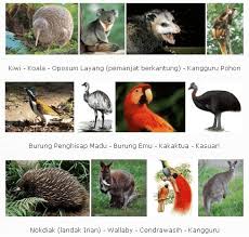 Jelaskan apa yg kalian ketahui tentang negara jepang dari mulai lokasi, iklim, bentuk muka bumi , flora dan fauna dan kondisi penduduknya. Karakteristik Benua Australia Letak Iklim Batas Pembagian