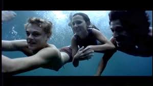 Nonsense plot and terrible acting. Pin By Laura Rovira Oller On My Favorite Movie Beaches Film Leonardo Dicaprio The Beach Leonardo Dicaprio