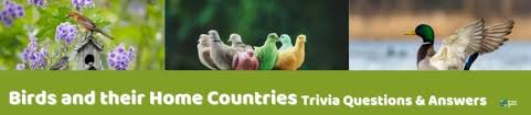 Nov 03, 2021 · like humans, many animals can be famous or even change the world. 73 Interesting Bird Trivia Questions And Answers