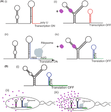 Toward improved terpenoids biosynthesis: strategies to enhance the  capabilities of cell factories